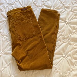 Anthropologie Pilcro straight leg Corduroy Pants in Mustard Sz 32